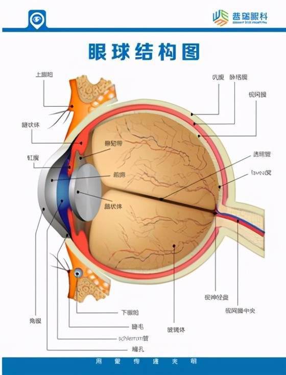 远离金融数字焦虑，拥抱健康向上生活